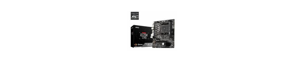 Placas base